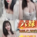 新北定點茶-六妹/160/45/20/C