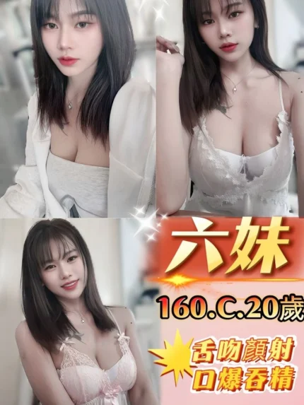 新北定點茶-六妹/160/45/20/C