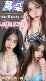台北定點茶-莓朵/156/40/18/C