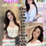 桃園定點茶-萌奈/165/49/22/C