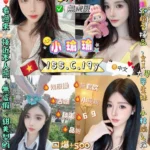 新北定點茶-小瑜瑜/155/42/19/C