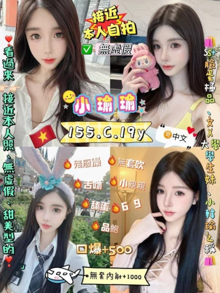 新北定點茶-小瑜瑜/155/42/19/C