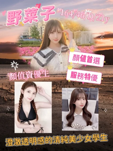 台南外送茶-野菜子/164/46/21/D