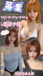 台北定點茶-莓果/160/44/21/D