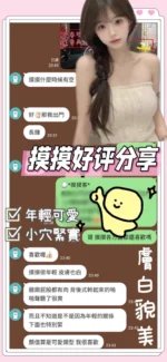 台南定點茶-摸摸/152/41/22/C