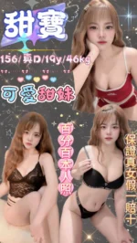 台北定點茶-甜寶/156/46/19/D