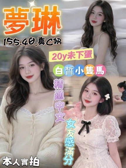 台中定點茶-夢琳/155/40/20/C