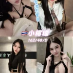 桃園定點茶-小檸檬/162/48/24/D