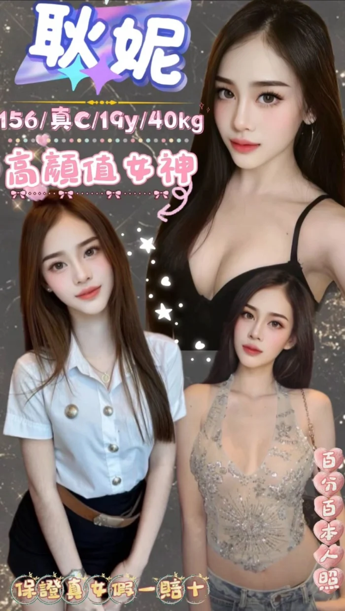 新北定點茶-耿妮/156/40/19/C