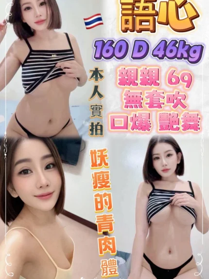 新北定點茶-語心/160/46/22/D