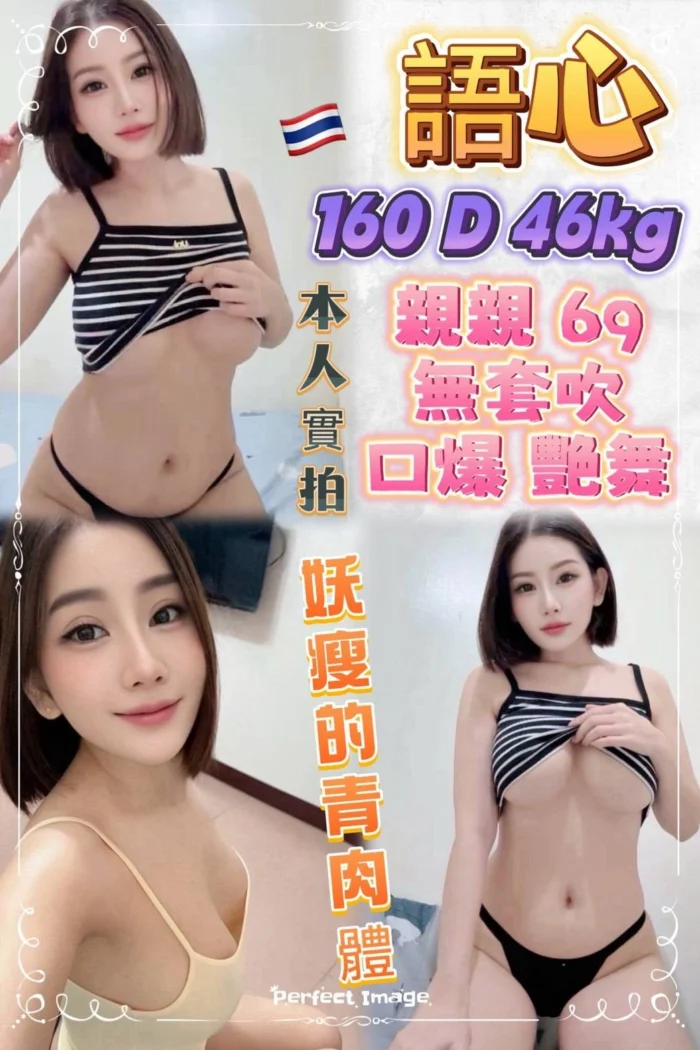 新北定點茶-語心/160/46/22/D