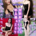 新竹定點茶-依涵/163/45/22/D