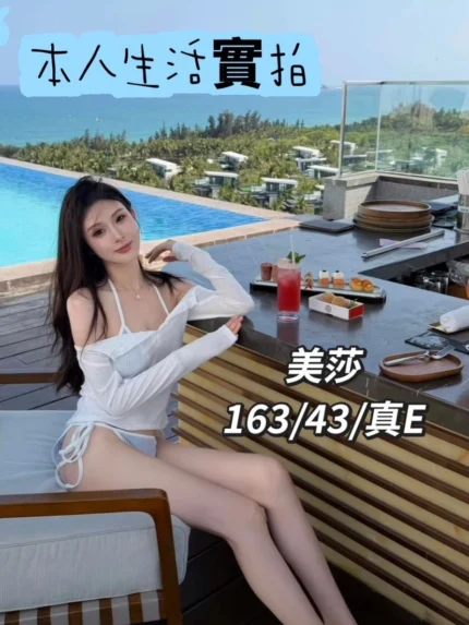 台中定點茶-美莎/163/43/?/E