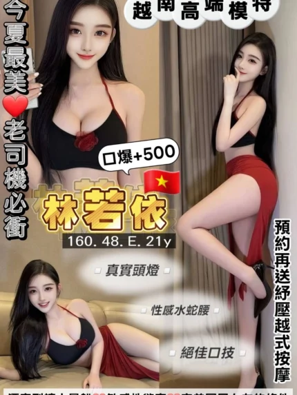桃園定點茶-林若依/160/48/21/E