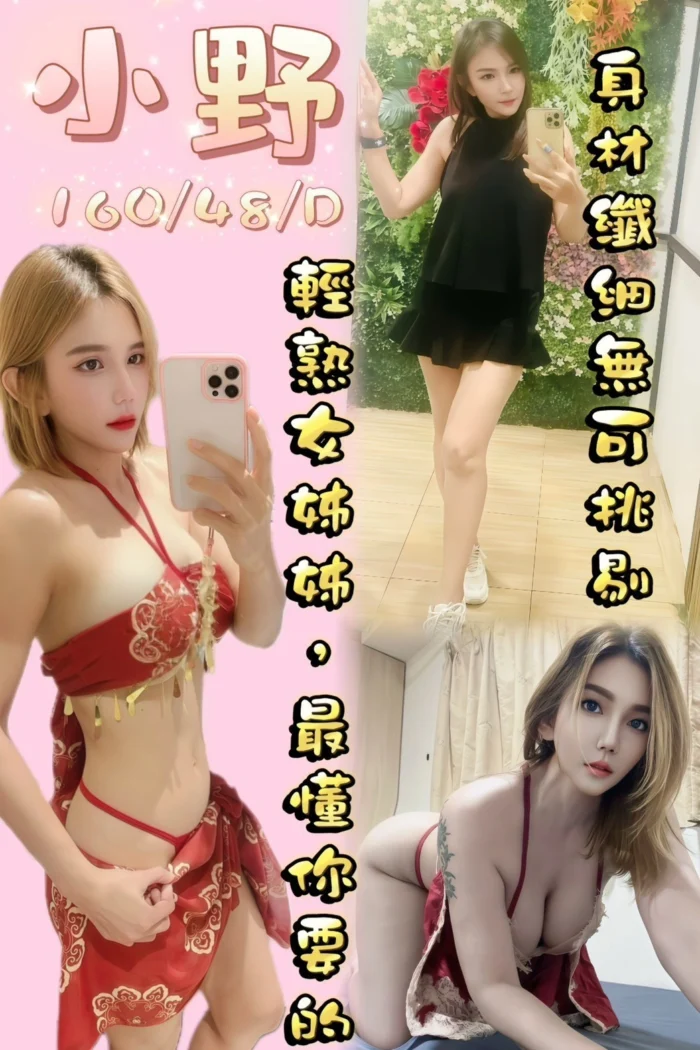 桃園定點茶-小野/160/48/?/D 桃園定點茶-小野/160/48/?/D