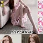 台北定點茶-甜筒/162/48/23/D