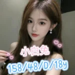 台中外送茶-小白兔/158/48/18/D
