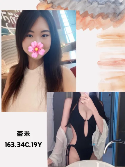 台北外送茶-蕾米/163/?/19/C