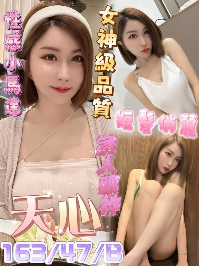 屏東定點茶-天心/163/47/?/B