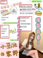 新竹定點茶-小蘿拉/160/46/20/E