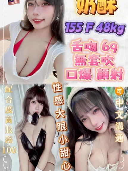新北定點茶-奶酥/155/48/?/F