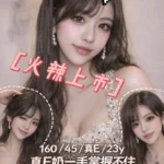 桃園外送茶-南熙/160/45/23/E