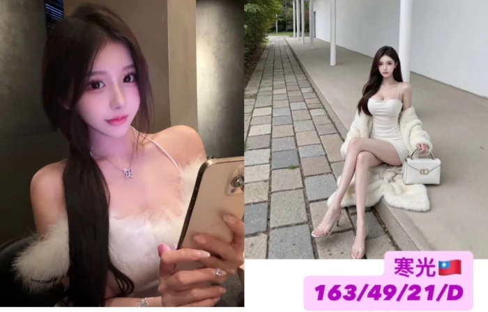 台中外送茶-寒光/163/49/21/D 台中外送茶-寒光/163/49/21/D