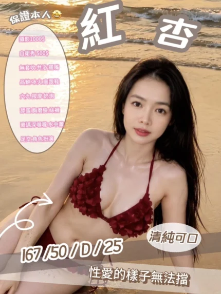 新竹定點茶-紅杏/167/50/25/D