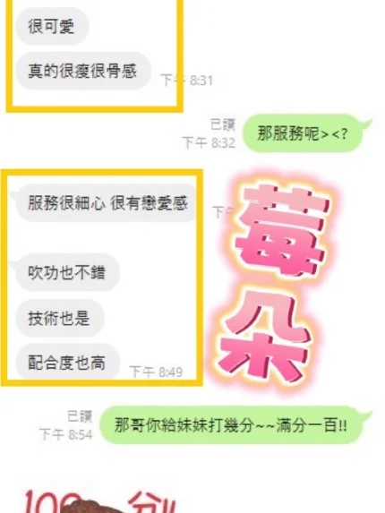 台中定點茶-莓朵/165/43/20/E