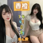 新北定點茶-香橙/164/49/18/D