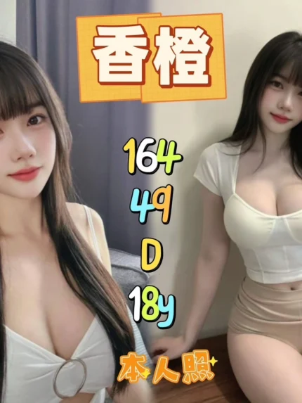 新北定點茶-香橙/164/49/18/D