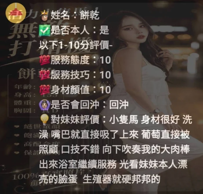 新竹定點茶-餅乾/155/40/23/D