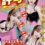 桃園定點茶-許可/160/48/21/D
