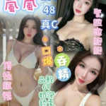 台中定點茶-嵐嵐/159/48/?/C