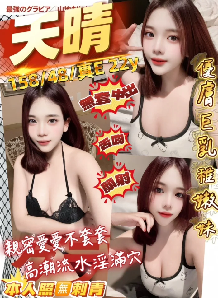 桃園定點茶-天晴/158/48/22/E 桃園定點茶-天晴/158/48/22/E