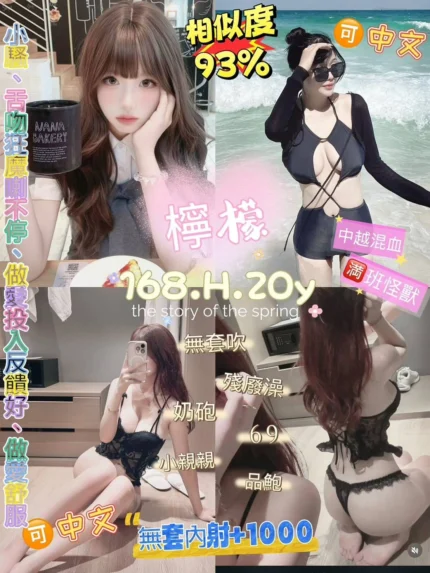 新北定點茶-檸檬/168/52/20/H
