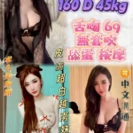 新北定點茶-凱莉/160/45/22/D