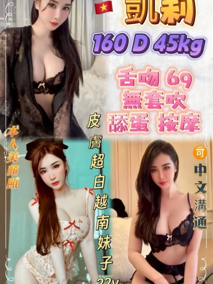 新北定點茶-凱莉/160/45/22/D
