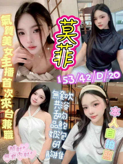台中定點茶-莫菲/153/42/20/D