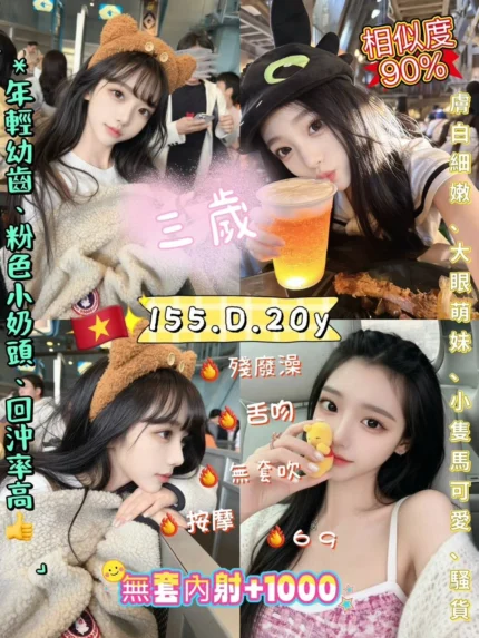 新北定點茶-三歲/155/47/20/D