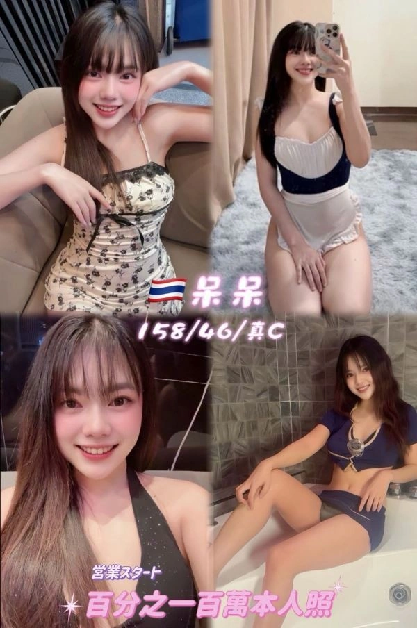桃園定點茶-呆呆/158/46/24/C 桃園定點茶-呆呆/158/46/24/C