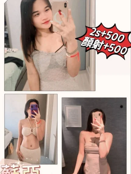 澎湖定點茶-蘇亞/158/43/21/C