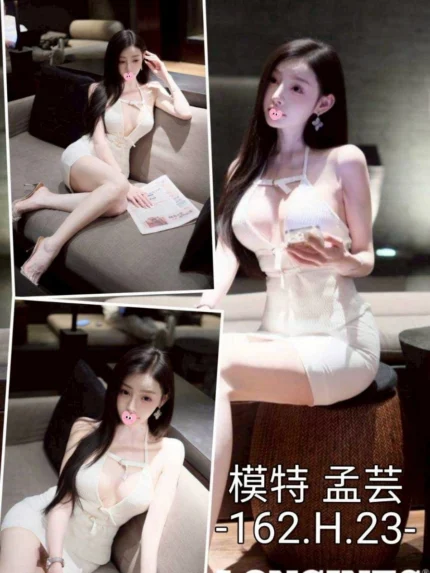 台中外送茶-孟芸/162/?/23/H