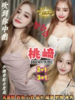 桃園定點茶-桃崎/160/47/25/C