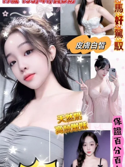 嘉義定點茶-莉娜/153/41/19/D