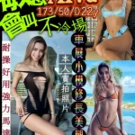 台北定點茶-Alva/173/50/22/D