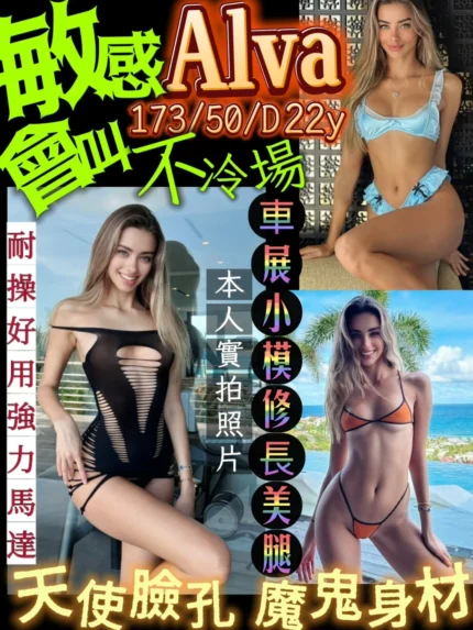 台北定點茶-Alva/173/50/22/D