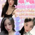 新竹定點茶-晨曦/166/49/20/E