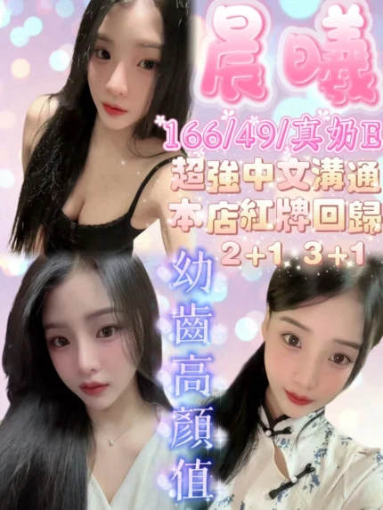 新竹定點茶-晨曦/166/49/20/E