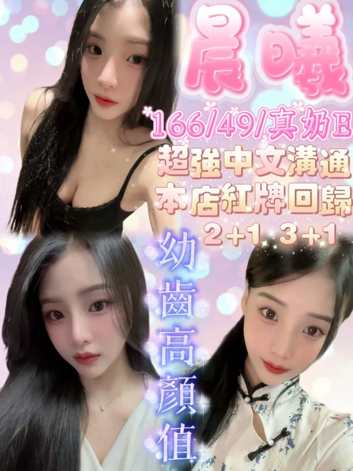 新竹定點茶-晨曦/166/49/20/E
